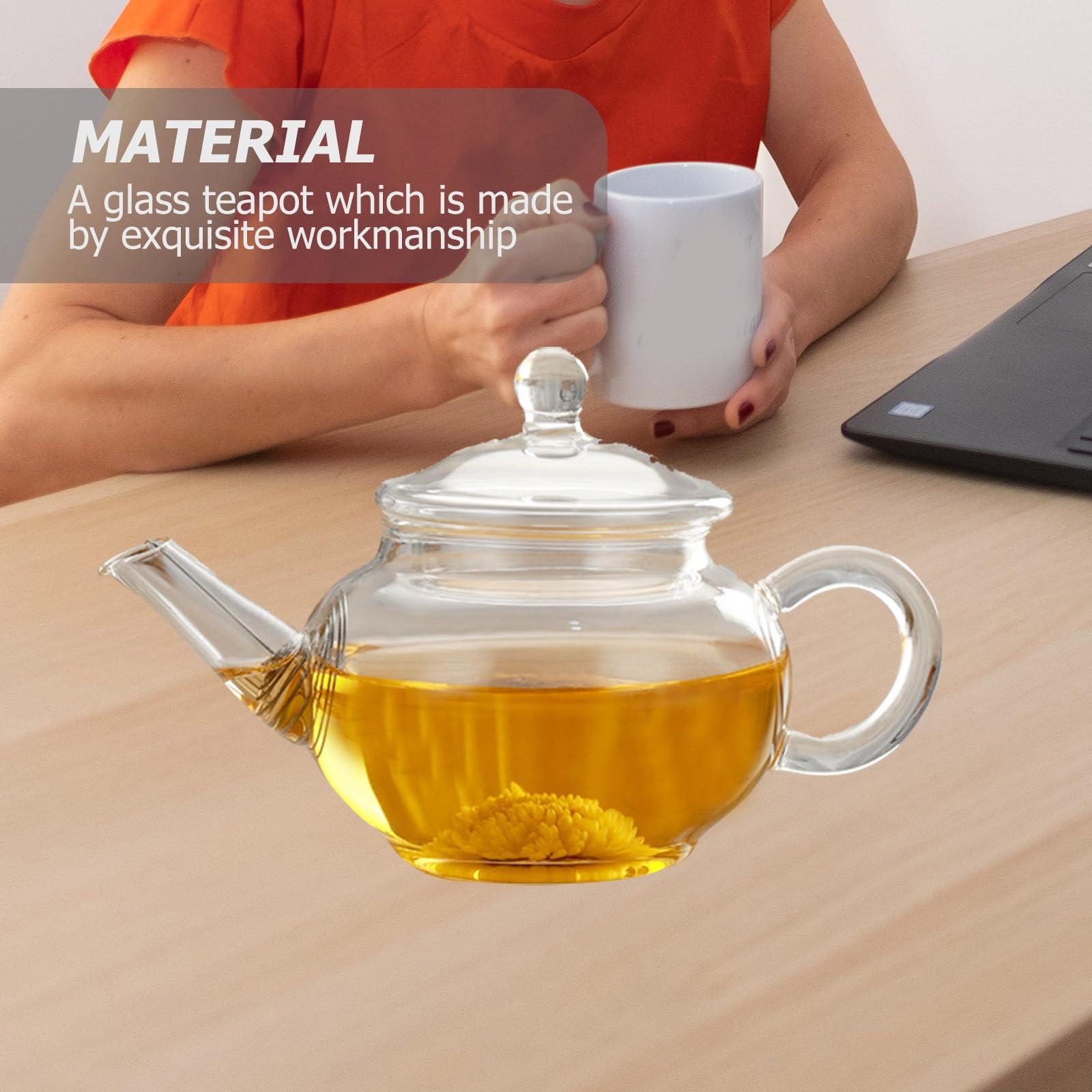 Garneck Garneck Tea Kettle with Infuser Glass Tea Kettle,borosilicate Glass Teapot with Infuser Blooming Tea Teapot Teapot Clear Glass Kettle with Strainer
