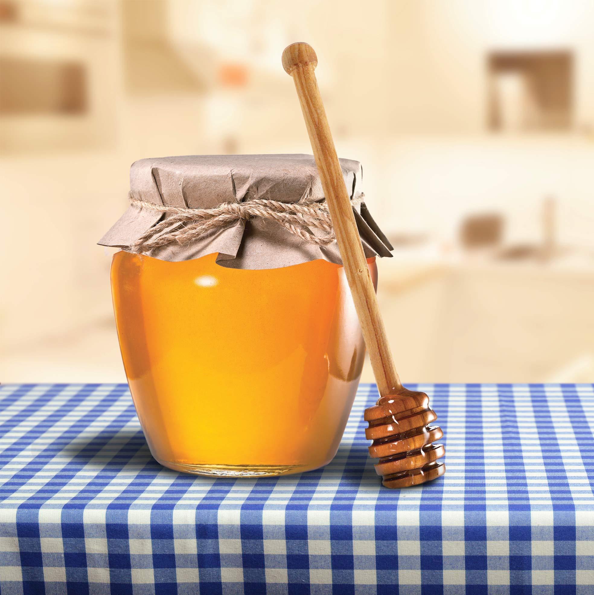 Harbor House Harbor House Cozy Cotton Comforter Set - Coastal, All Season Down Alternative Casual Bedding with Matching Shams, Decorative Pillows, Beach House, Reversible Seashell Blue Twin(72"x90") 3 Piece