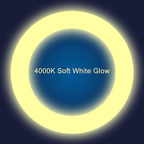 iledlight T9 LED Circline Light Bulb, 8 Inch 1600LM LED Circular Light, 13W Clear Cover 4000K Soft White Replacement for FC8T9 22-Watt Fluorescent Circular Bulb(FC8T9), Ballast Bypass Required