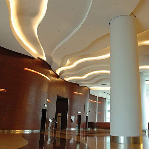 Armacost Lighting Armacost Lighting 132210 8.2 ft. LED Tape Light Soft White (2700K) RibbonFlex Pro Series 60, Dimmable, 250 Lumens per ft., 12-Volt