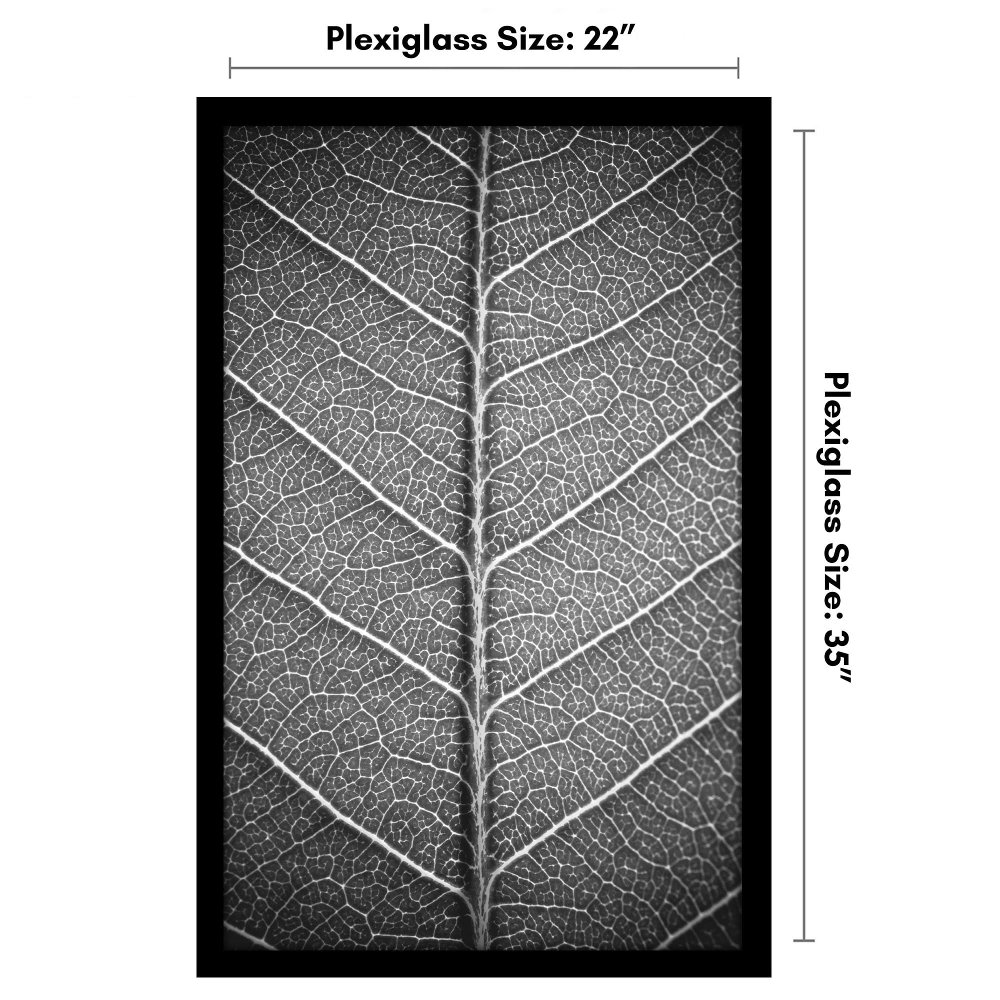 Americanflat Americanflat 22x35 Poster Frame with Polished Plexiglass - Black Picture Frame with Engineered Wood - Epic Collection - Wide Photo Frame for Wall Display