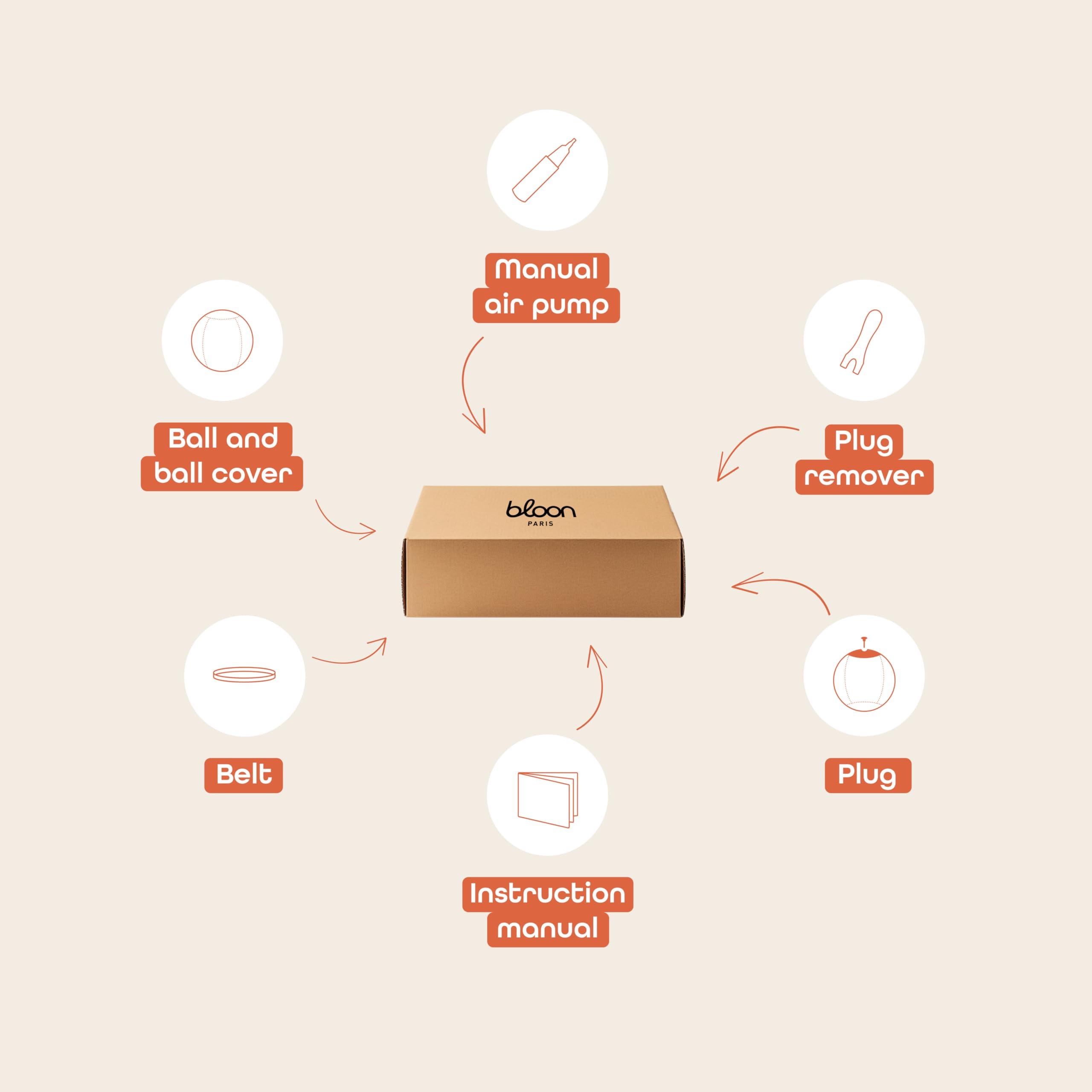 Bloon Paris Bloon Paris Ergonomic Sitting Ball Chair - Premium Desk Chair for Home and Office with Active Seating - Durable & Stylish Balance Ball Chair - Grey Platinium - Regular Size