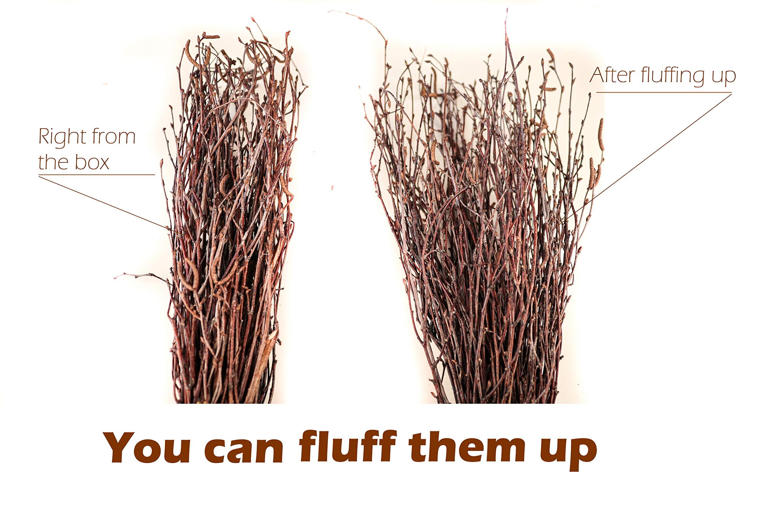 ECOWOODDECOR 200 pcs. 100% Natural Birch Twigs for centerpieces, for Crafts, Set of 4 Bundles. [ECOWOODDECOR] Birch Branches for vase Decoration, DIY, Wedding Decoration Birch Twigs