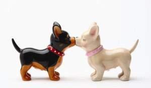 Pacific Giftware Pacific Trading Kissing Chihuahuas Pucker Up Pups, Salt and Pepper Shaker Set, Magnetic