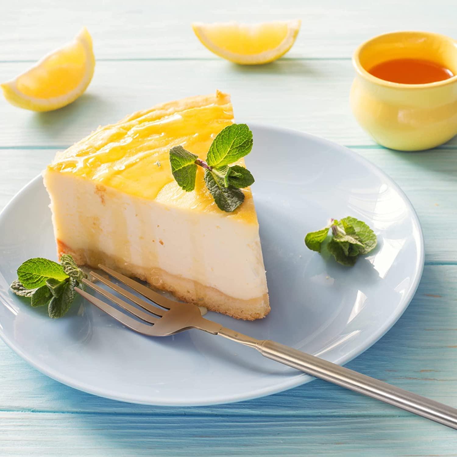 LIZEALUCKY Telescopic Fork,Extendable Fork,Extending Fork,64cm Long Stainless Steel Retractable Fork Extendable Dinner Fruit Dessert Fork Cutlery 8.7-25.4inch