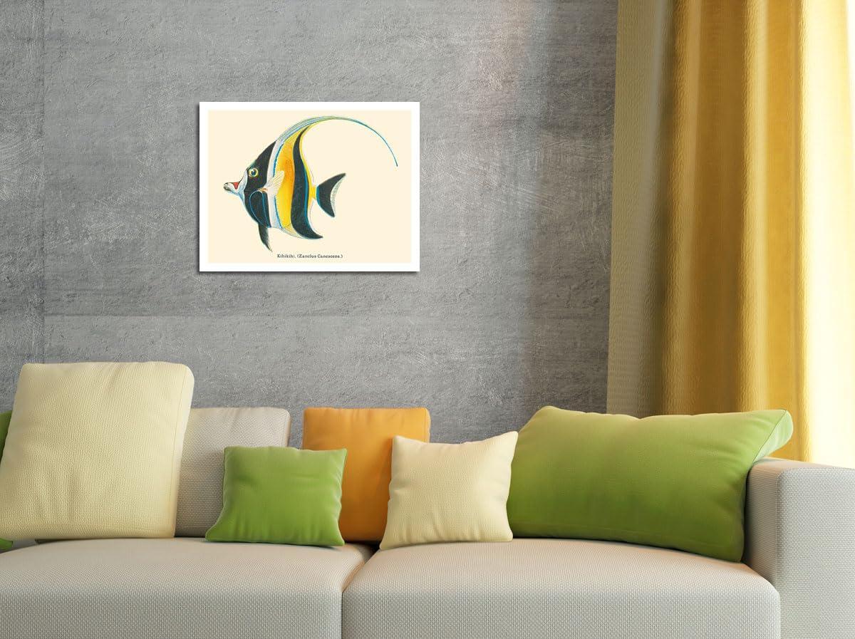 Pacifica Island Art Kihikihi (Zanclus Cornutus) - Moorish Idol - from Fishes of Hawaii - Vintage Hawaiian Color Postcard c.1905 - Fine Art Rolled Canvas Print (Unframed) 16in x 20in