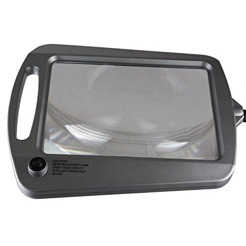 daylight24 daylight24 402039-BRNZ Full Page 8 x 10 Inch LED Illuminated Floor, Bronze Magnifier Lamp