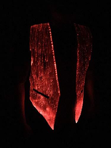 Fiber Optic Fabric Clothing LED Fiber Optic Waistcoat Light up Vest for Men Fashion Glow in The Dark Luminous Vest,Mobile APP Control (XXL, White)