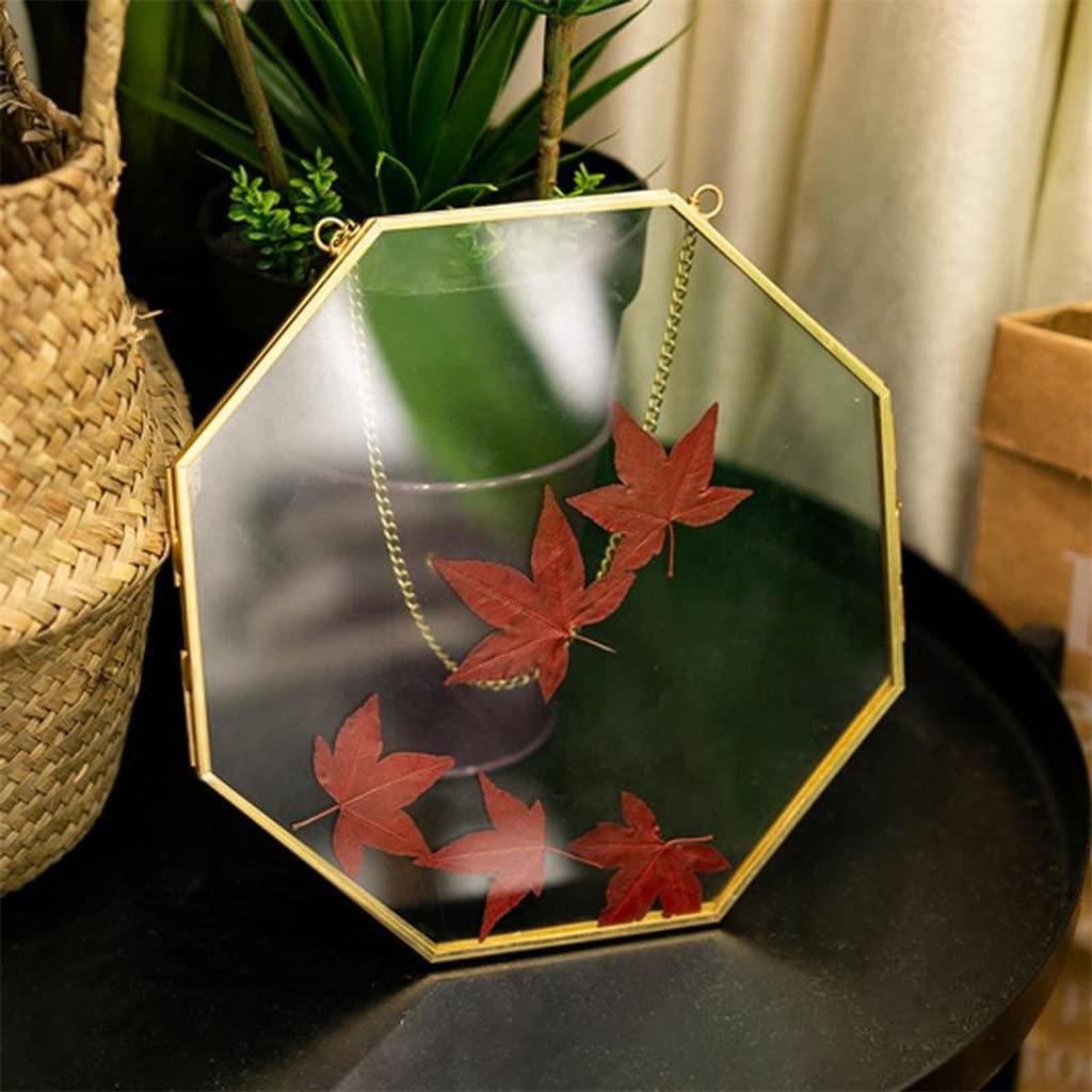 TOBILE TOBILE Brass Hanging Photo Frame Copper Glass Picture Frames Clip Wall Decor