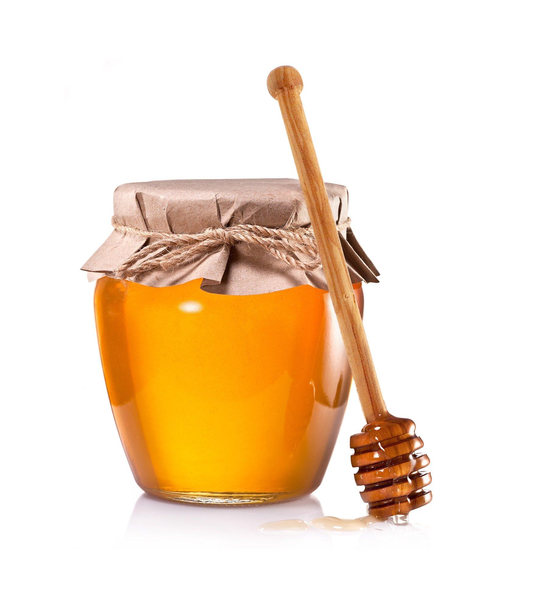 Harbor House Harbor House Cozy Cotton Comforter Set - Coastal, All Season Down Alternative Casual Bedding with Matching Shams, Decorative Pillows, Beach House, Reversible Seashell Blue Twin(72"x90") 3 Piece