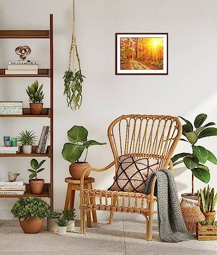 ART.COM ART.COM Framed Wall Art Prints Pathway through the Autumn Forest by sborisov, Scenic Decor, 24\" x 18\", Espresso Frame with White Mat