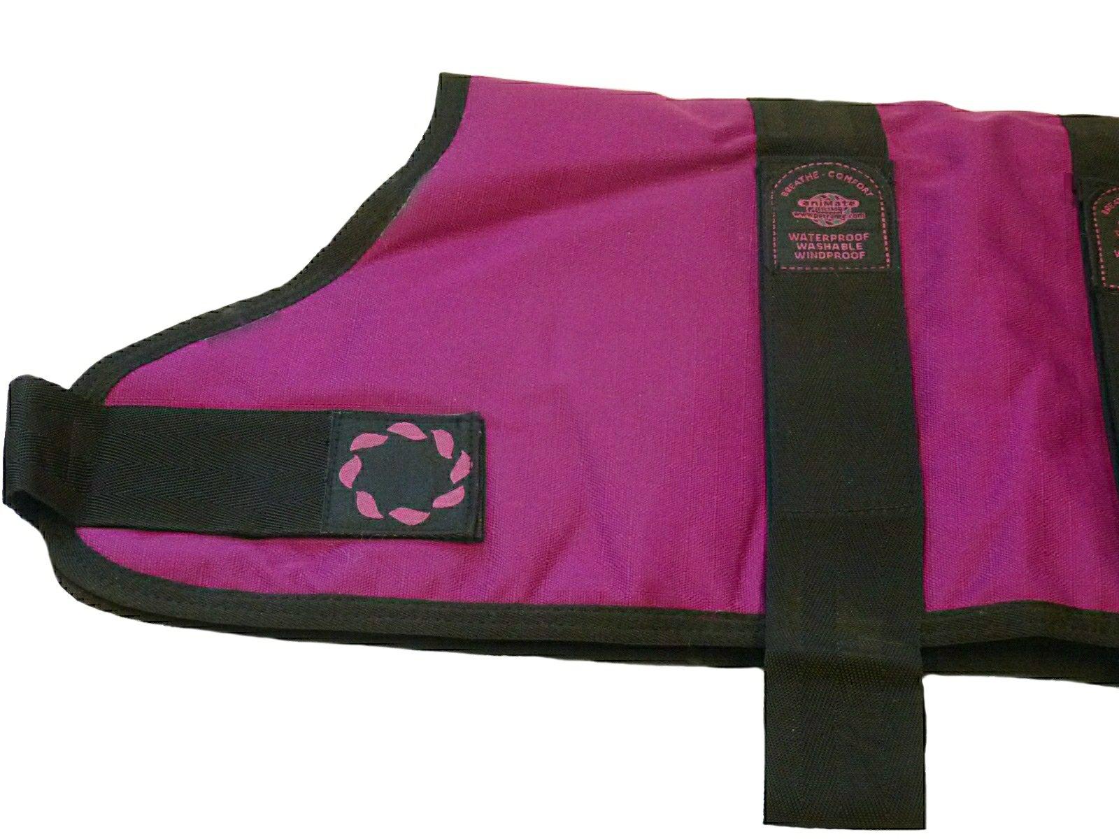 Outhwaite Outhwaite Padded Dog Coat, 12-inch, Raspberry