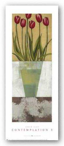 New York Graphics Contemplation 3 by Craig Alan 10"x27.5" Art Print Poster