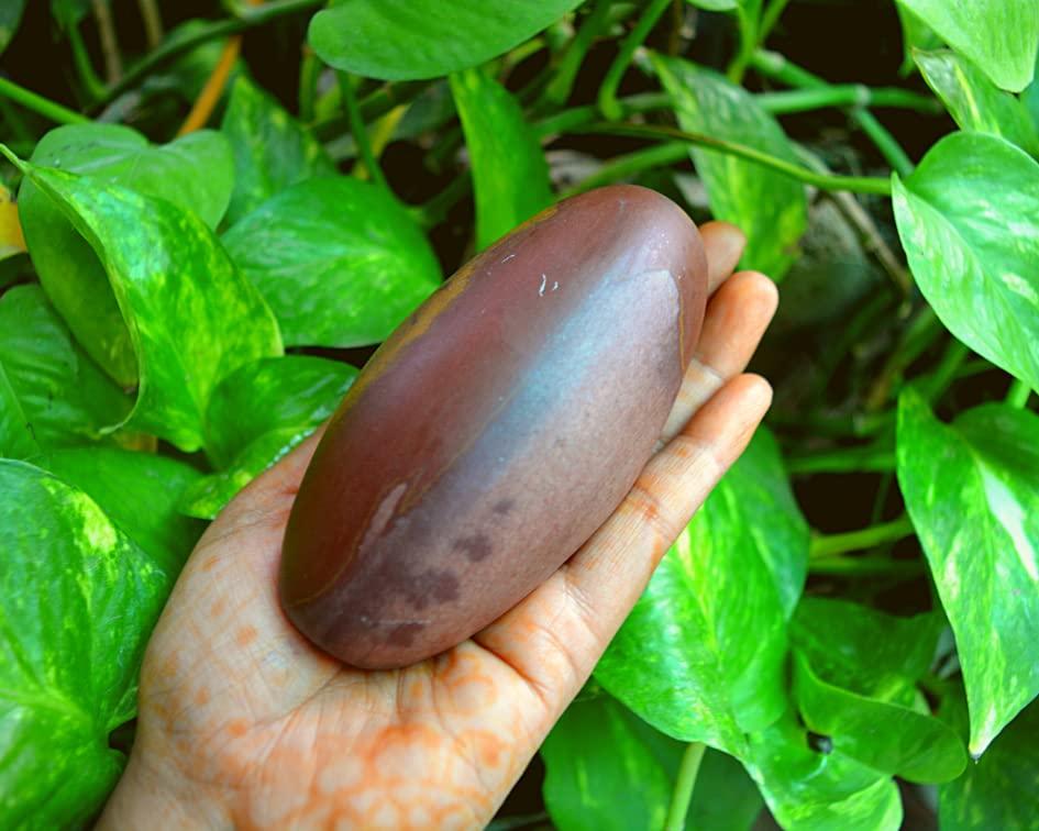 Shiva Lingam Shop Shiva Lingam Stone ~I-5700