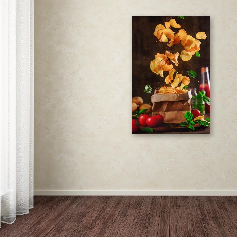 Trademark Fine Art Trademark Fine Art Modern & Contemporary Canvas Art, 30x47