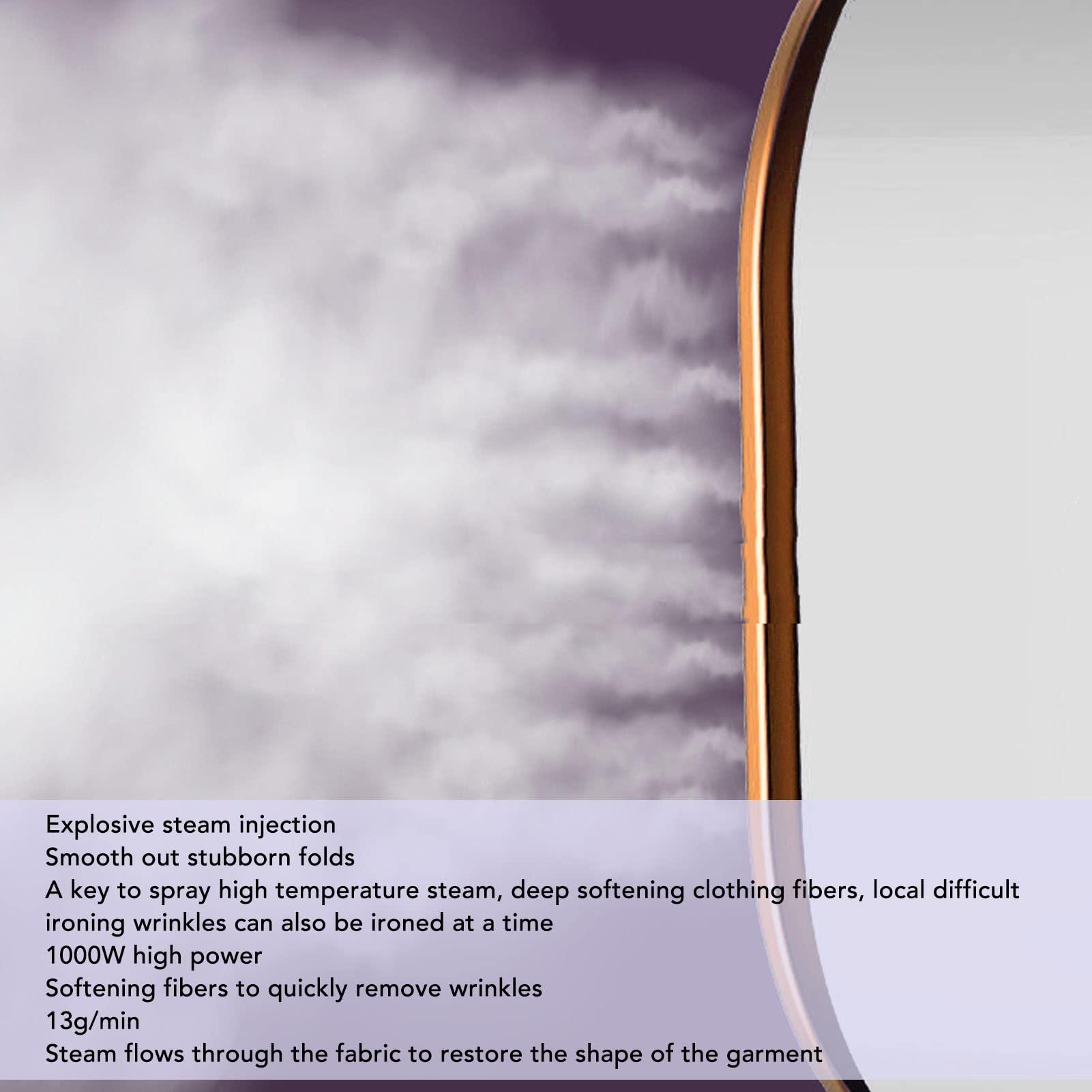 Pilipane Pilipane Handheld Electric Iron, 1000W High Power Electric Iron Handheld Steam Ironing Machine Rotatable Portable Travel Iron(110)