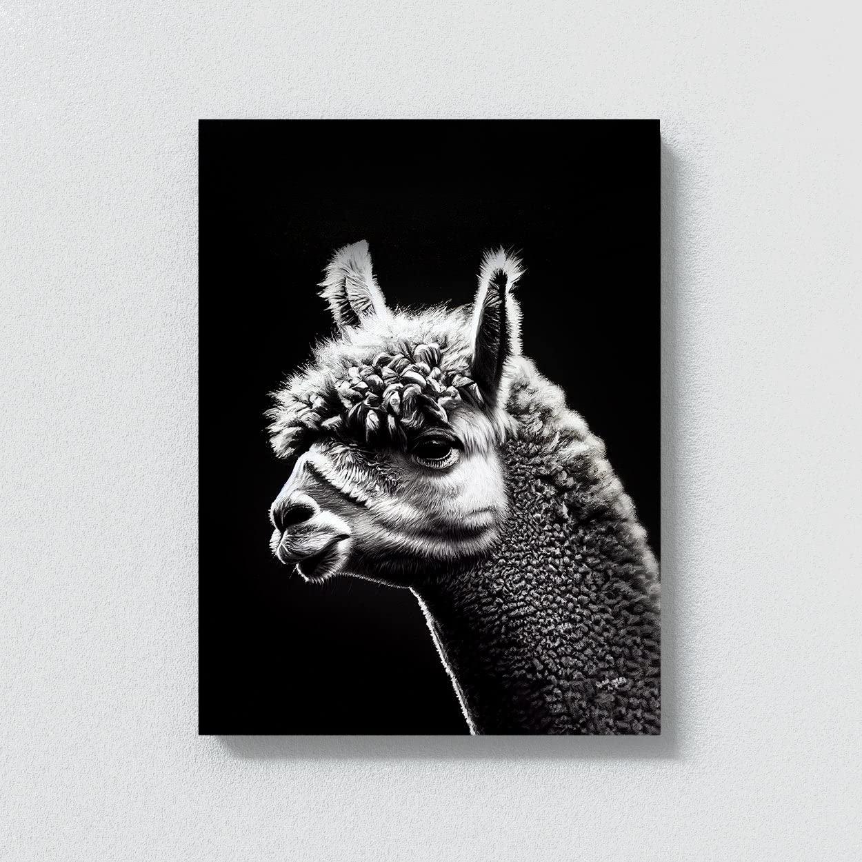 Sense Canvas Sense Canvas Alpaca 2 Canvas Art - Home Decor Wall Art Print Poster Painting X-Large 36x48 / 0.75\"