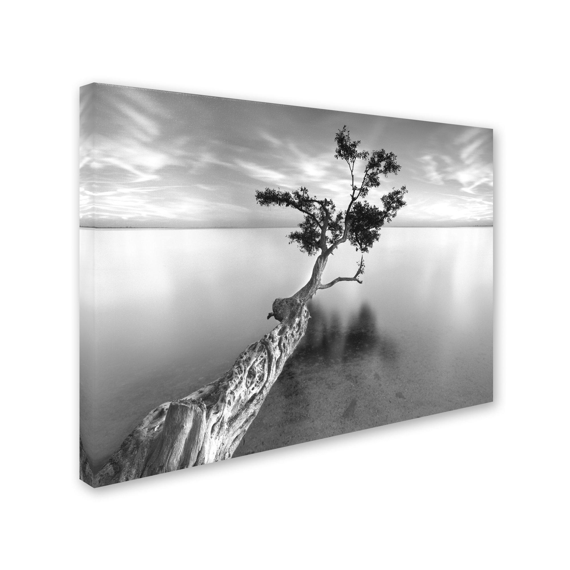 Silikomart Silicone Mart Uniflex SFT306 Non-Stick Mold Square Pan, Silicone, Italy WML5001