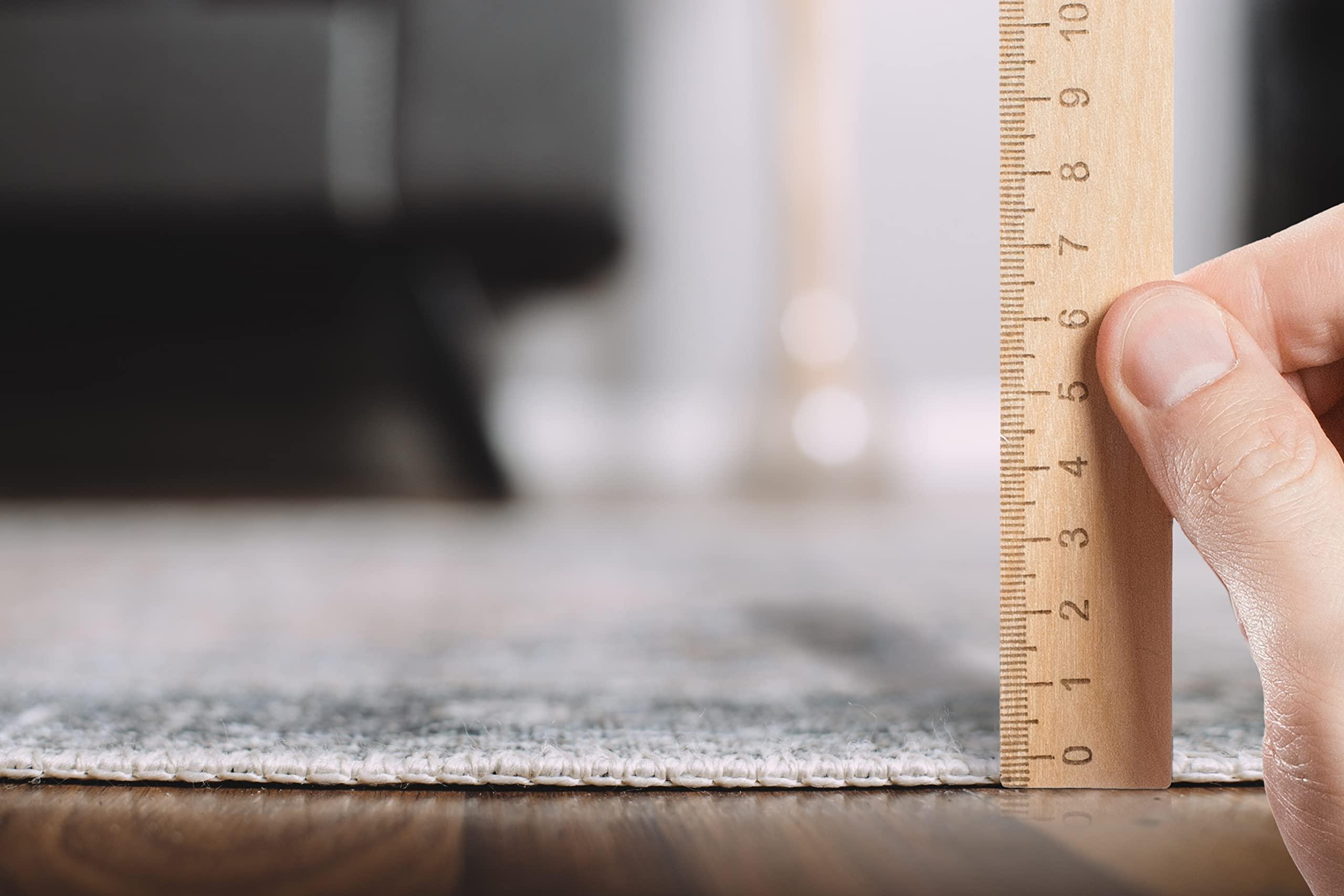 RugOver RugOver Machine Washable Area Rug, Pet-Friendly and Non-Slip Indoor Carpet for Kitchen, Bathroom, Living Room, Home Floor Decoration(Seal/Space, 6'3" x 9'6")