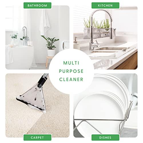 Milliard Milliard Borax Powder Laundry Booster, Pure Natural Multipurpose Cleaner and Detergent, 1 lb - Unscented