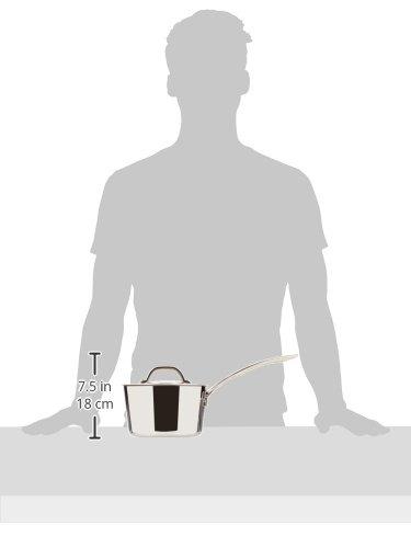 Viking Culinary Viking Culinary Contemporary 3-Ply Stainless Steel Saucepan, 2.4 Quart, Includes Glass Lid, Dishwasher, Oven Safe, Works on All Cooktops including Induction