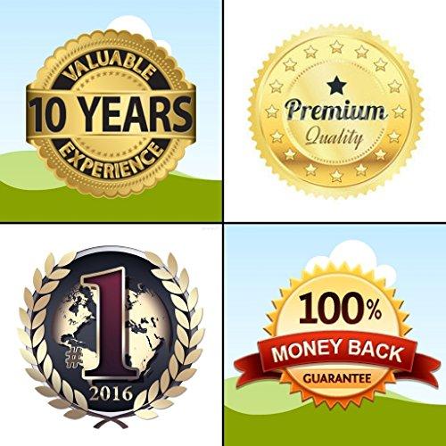 ADVPRO ADV PRO i394-b Donuts Cafe Resturant Advertising New Light Sign