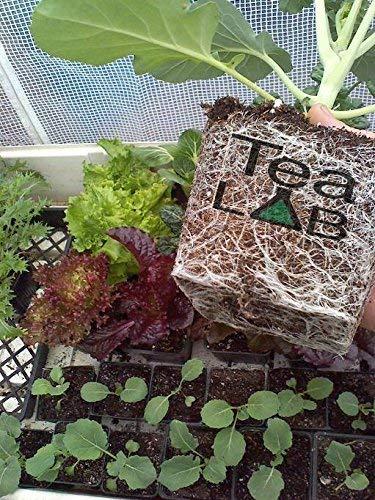 TeaLAB Complete Compost Tea Brewer Kit : 5 Gallon : Bubbles Other Brewers Out of The Water