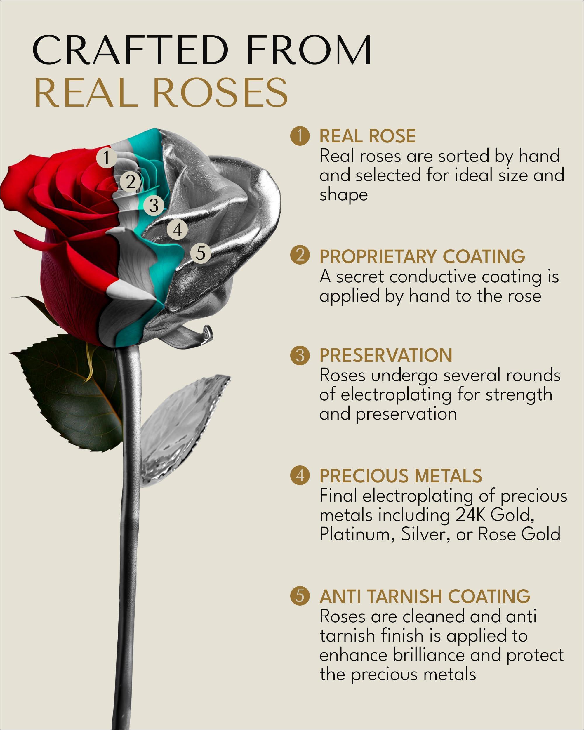 Forever Rose Forever Rose Real Platinum Rose, Genuine, One of A Kind, Hand Dipped & Everlasting Platinum Dipped Real Rose, Beautiful Forever Flower, Ideal Anniversary, and Romantic Valentine\'s Day Gifts for Women