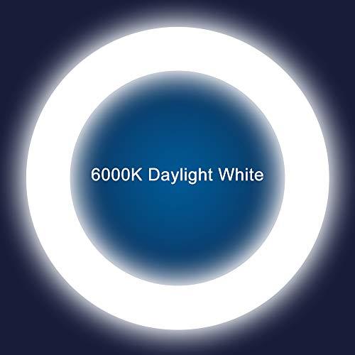 iledlight T9 LED Circline Light Bulb, 8 Inch 1600LM LED Circular Light, 13W Clear Cover 6000K Daylight Replacement for FC8T9/CW 22-Watt Fluorescent Circular Bulb(FC8T9/CW), Ballast Bypass Required