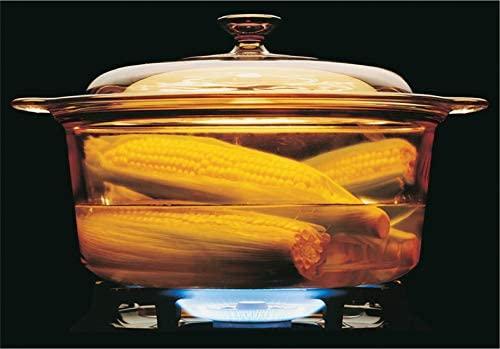 Visions Visions 5L Round Dutch Oven With Glass Lid/Cover