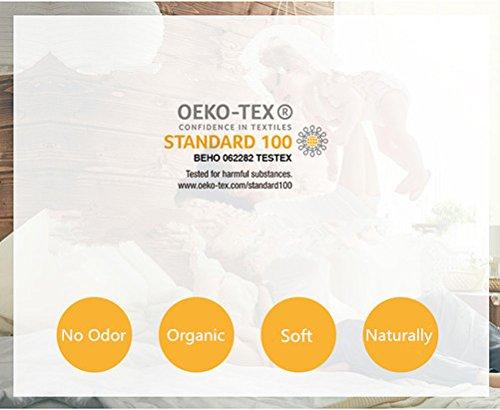 ROSE FEATHER Toddler/Travel/Crib Goose Down Comforter Duvet/Blanket Multifunctional,100% Organic Cotton Washable Unisex Kids,All Season,White 33x43