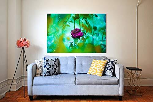 Dolores Herrera Photography Dolores Herrera Photography - Fine Art Prints - A Lovely Rose (Maple Wood, 24x36)