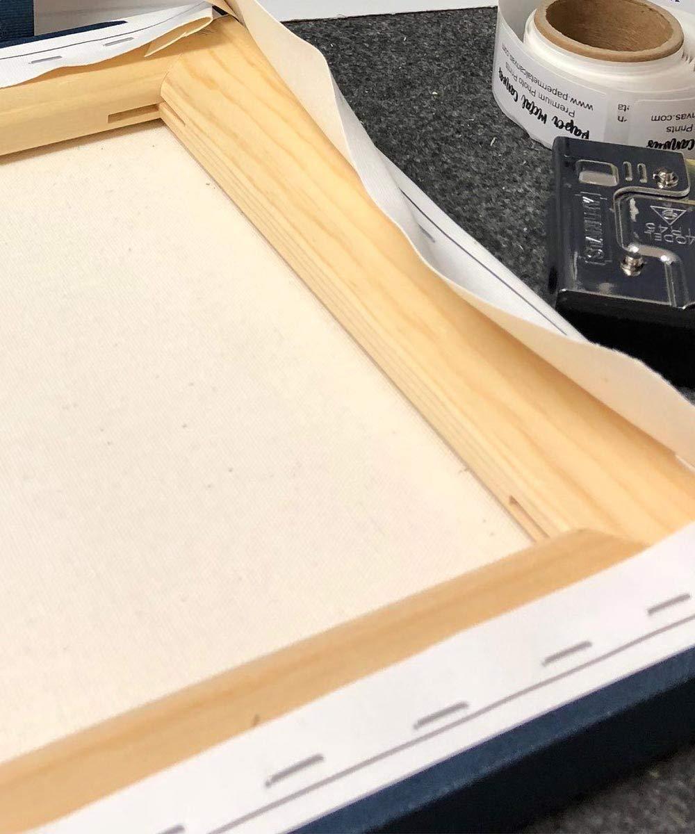 Paper Metal Canvas 11x14 Mounted Canvas Art Print - 25 Year Anniversary Personalized Gift Silver of Tin Purple - With Gift Wrapping LTC-C1489