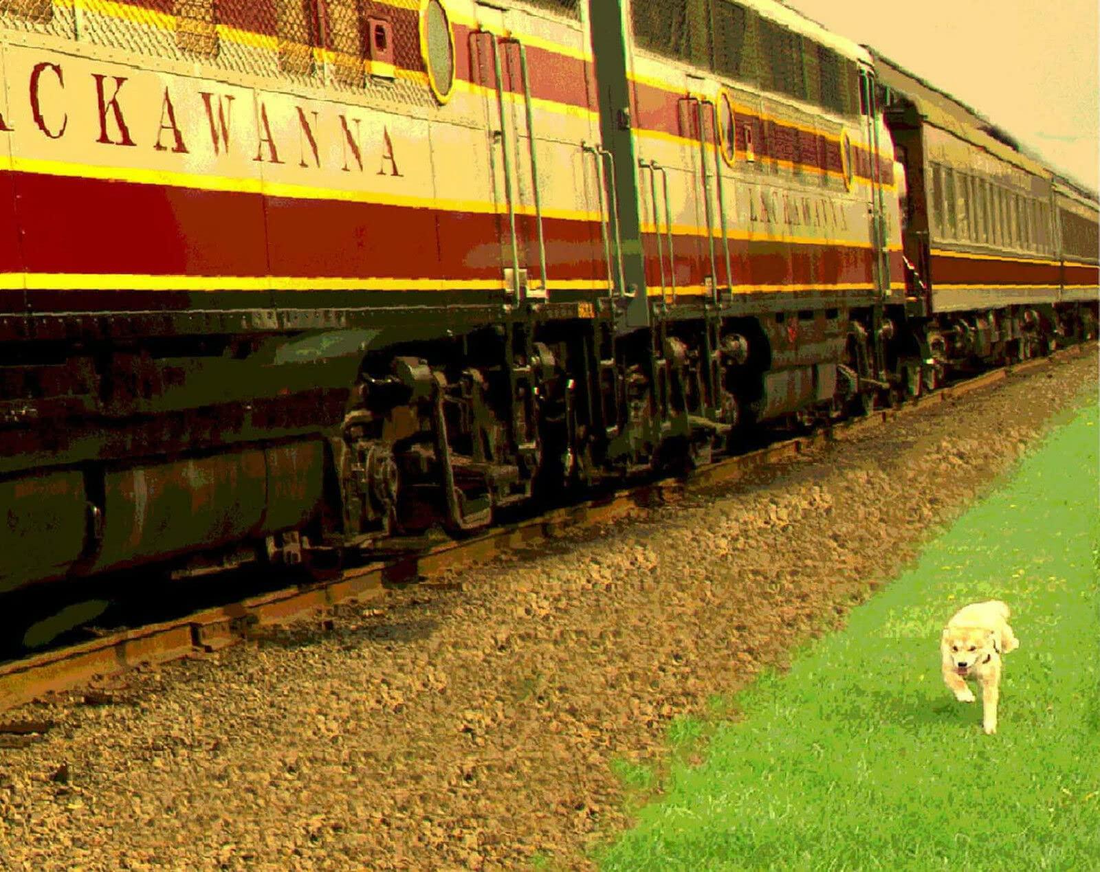 Generic Lackawanna Railroad PHOEBE SNOW Anthracite Train Poster Art Print 060(TITLE City:CRESCO;Size:20 x 30 inches)