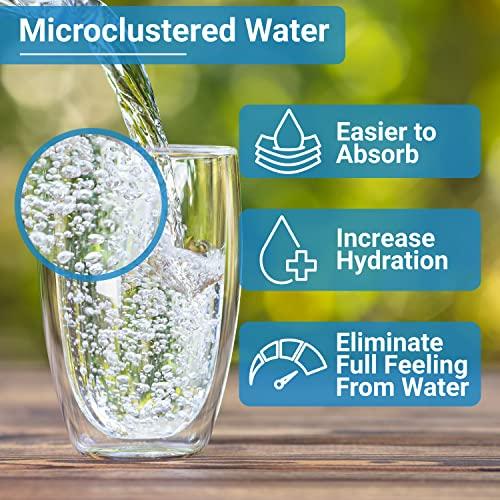 Aqua-Ionizer Pro Aqua Ionizer Deluxe | Water Ionizer | 7 Water Settings | Home Alkaline Water Filtration System | Produces pH 4.5-10.0 Alkaline Water | Up to -600mV ORP | 4000 Liters Per Filter