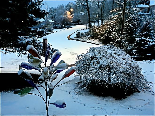 BottleTree The Big Daddy Bottle Tree | Outside Yard Garden Decor | No Assembly Required | Displays 25 Bottles | 5 ft (60\") Tall | Heavy Duty Welded Solid Raw Steel | Unpainted | Made in Mississippi USA