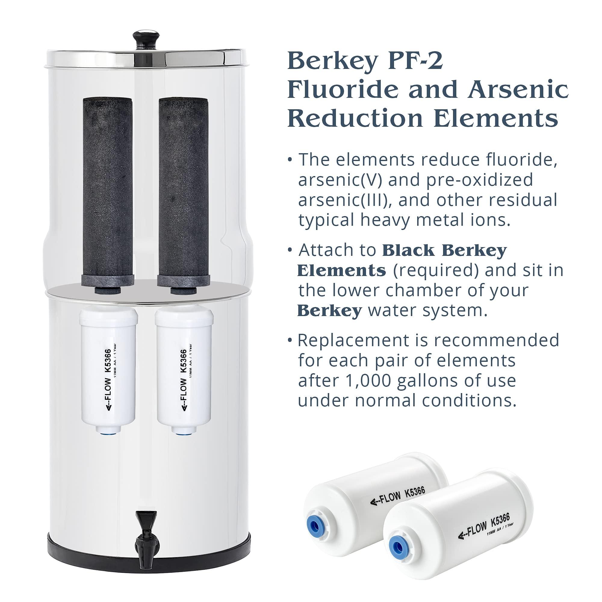 Berkey Set of 2 Berkey Authentic Black Berkey Elements (BB9-2) and 2 Berkey PF-2 Fluoride and Arsenic Reduction Elements - Combo Pack