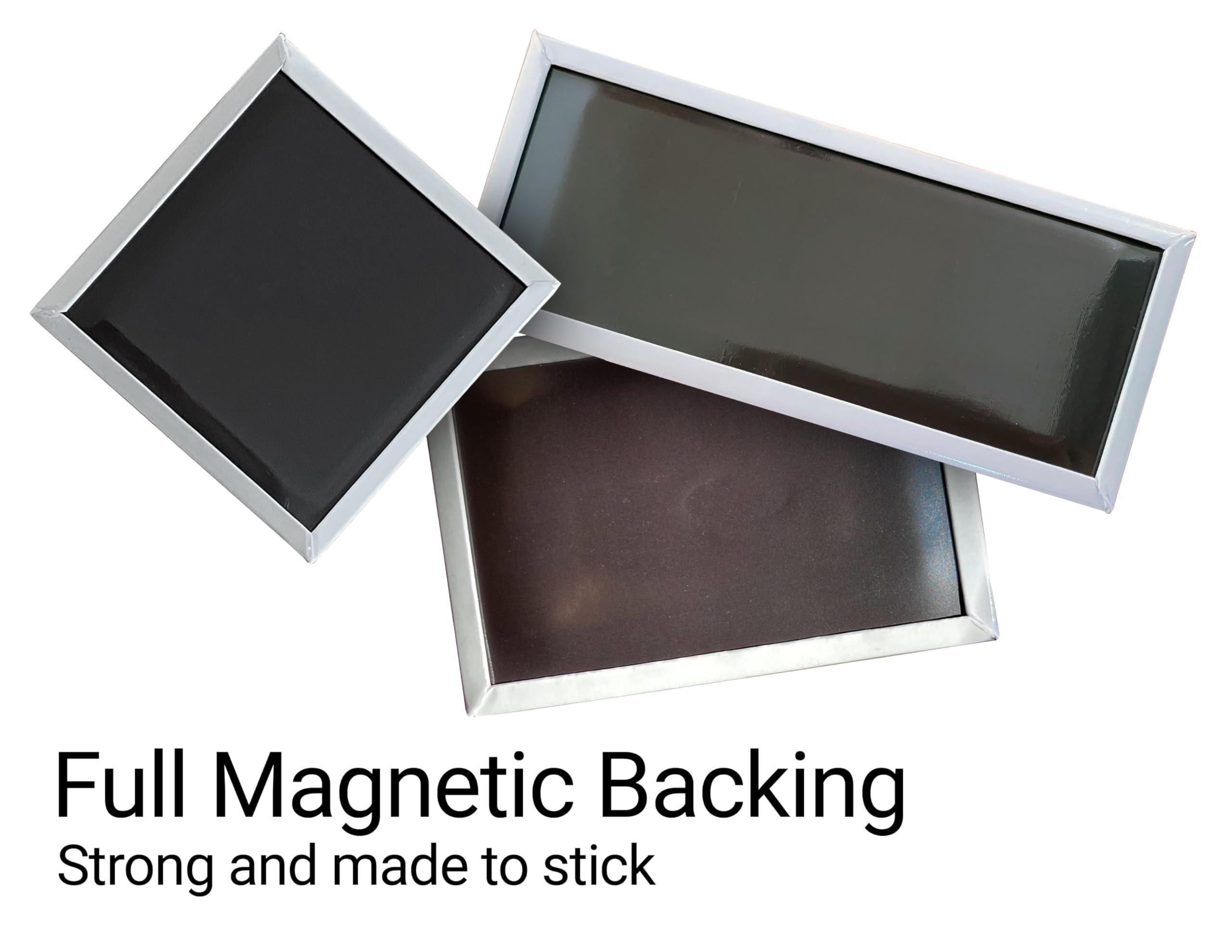 R and R Imports Outer Banks North Carolina Beach Souvenir Fridge Magnet Palm Design Single