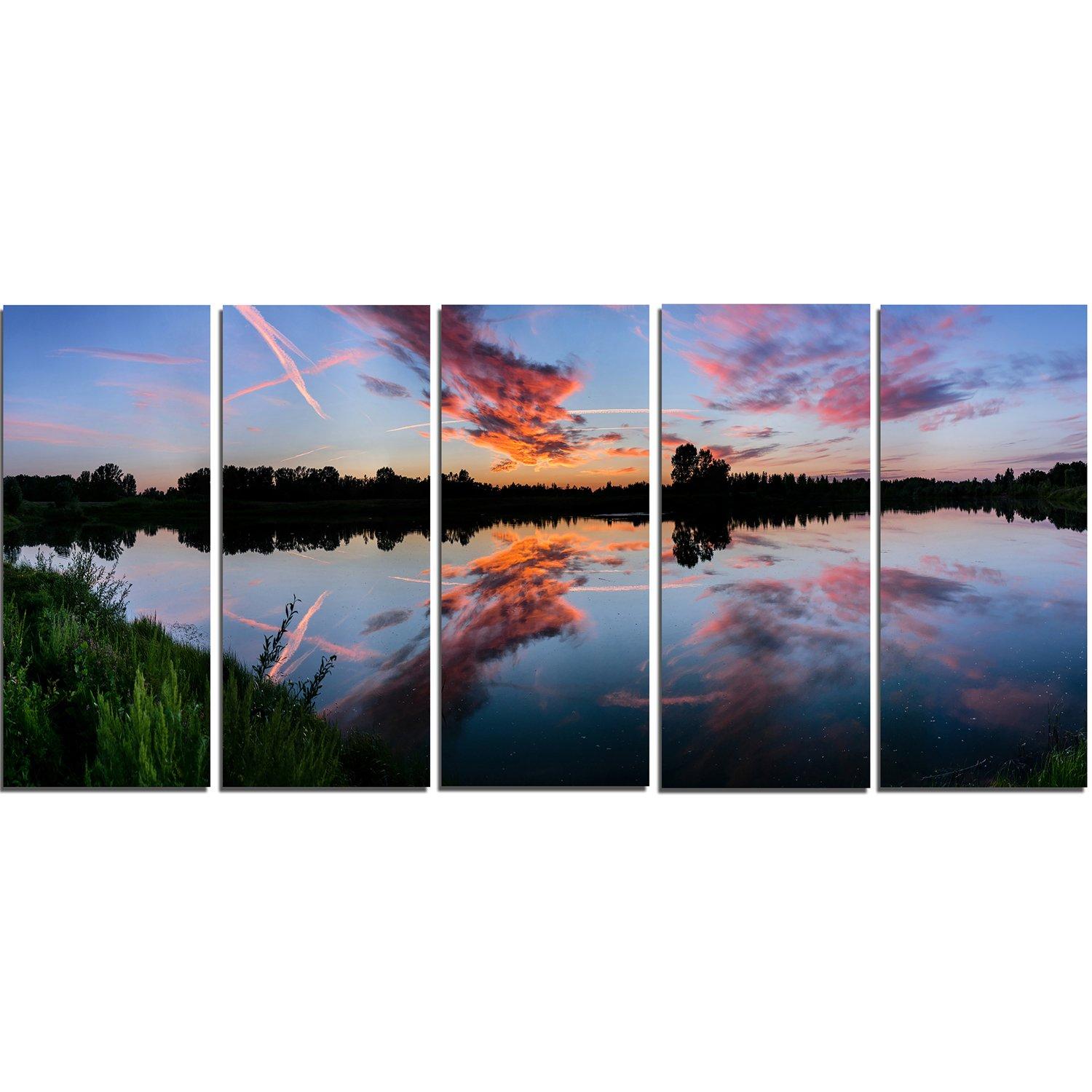 Designart Designart Grand Peacock-Animal Photography Metal Wall Art-MT6535-48x28-4 Panels, 28\'\' H x 48\'\' W x 1\'\' D 4P