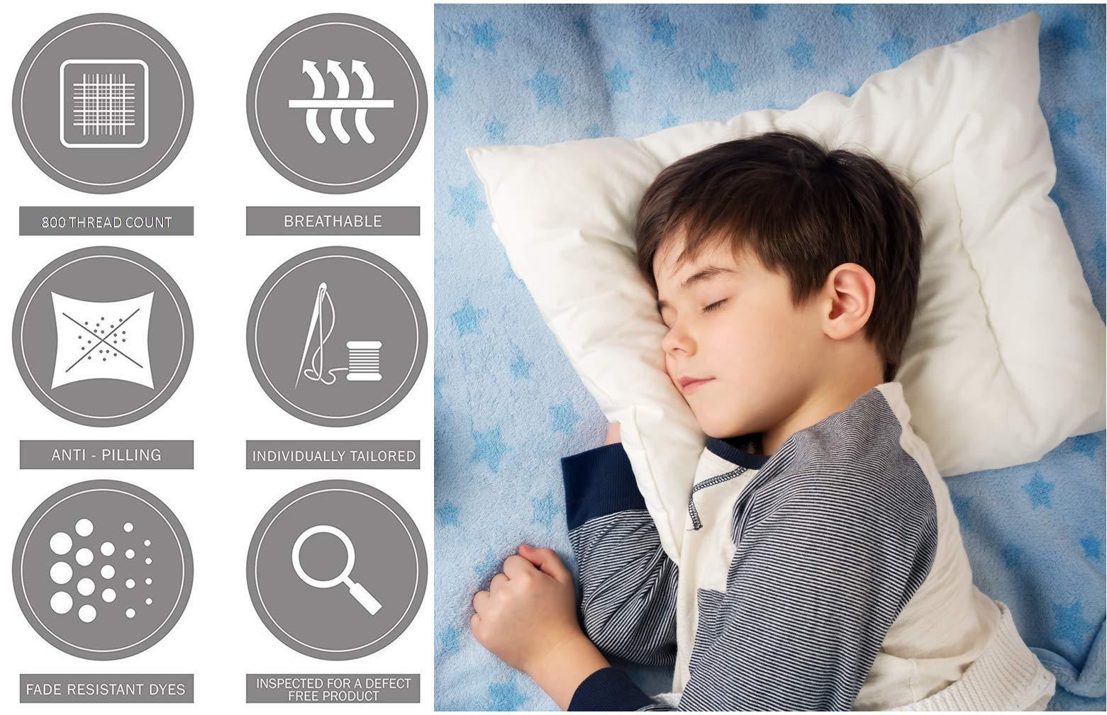 mFabrics mFabrics StretchWrap Box Spring Cover - 100% Egyptian Cotton, 1000 TC, Wrap Around 4 Sides Bed Skirt for Hotel & Home, Fits Box Springs up to 6 Inch - TwinXL, Plum