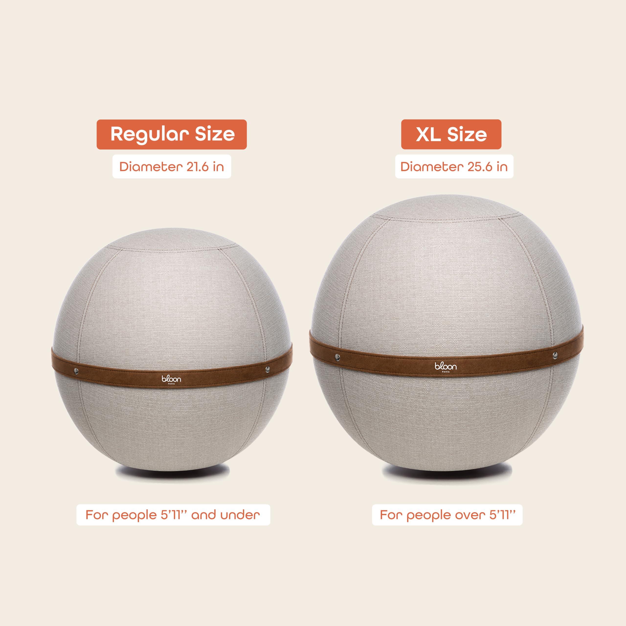 Bloon Paris Bloon Paris Ergonomic Sitting Ball Chair - Premium Desk Chair for Home and Office with Active Seating - Durable & Stylish Balance Ball Chair - Grey Platinium - Regular Size