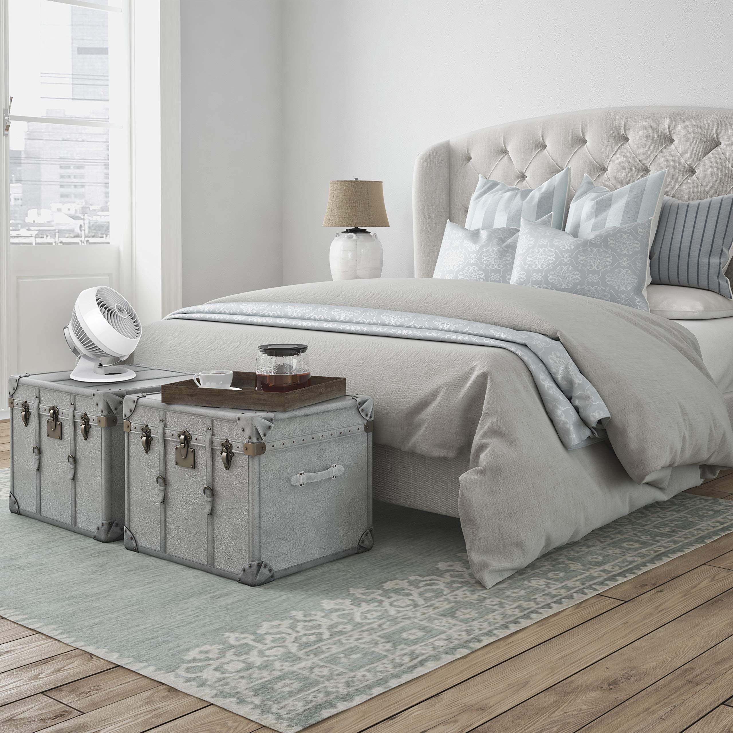 Vornado Vornado 630 Mid-Size Whole Room Air Circulator Fan & CR1-0253-43 460 Small Whole Room Air Circulator Fan, White/Black