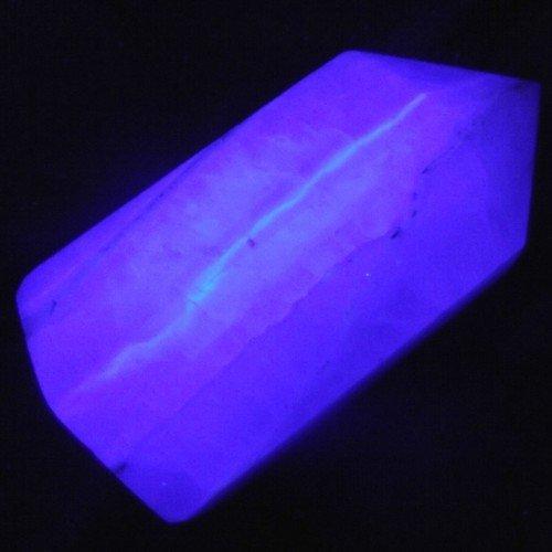 HQRP HQRP 365 nM 9 LED Flashlight Blacklight for Document Forgery Analysis, Currency, Bill Verification, Inspection Detection Identification