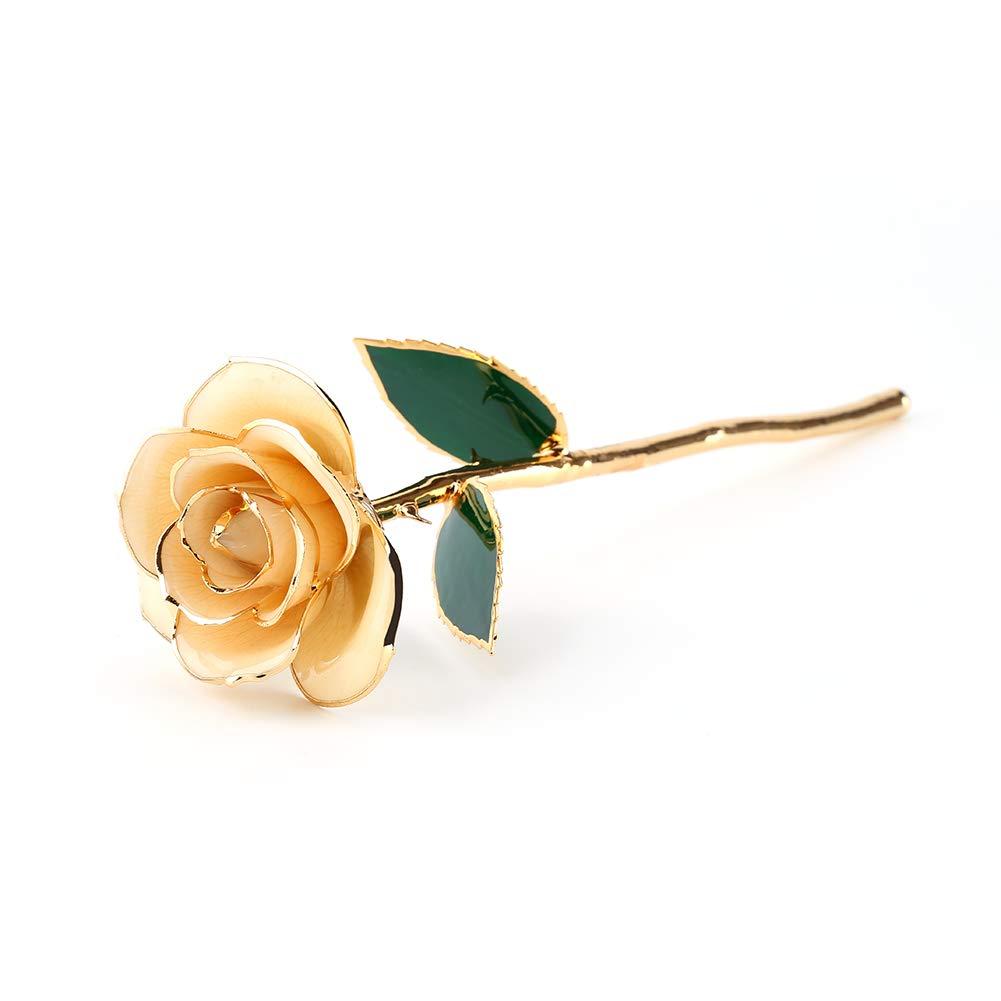 Jwthee Gold Dipped Rose 24k Real Rose, Love Forever Long Stem Gold Plated Rose Preserved Flowers Gifts for Women: Mothers Day, Valentines Day, Birthday, Anniversary, Thanksgiving Day