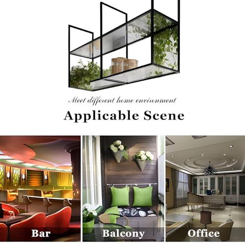 Yopappol Yopappol Ceiling Mount Shelf, 2 Tier Hanging Storage Rack, Metal & Acrylic Floating Wall Shelves Plant Stand Pot Pan Organizer for Restaurant Kitchen Flower Shop (Size : 60x30x80cm)