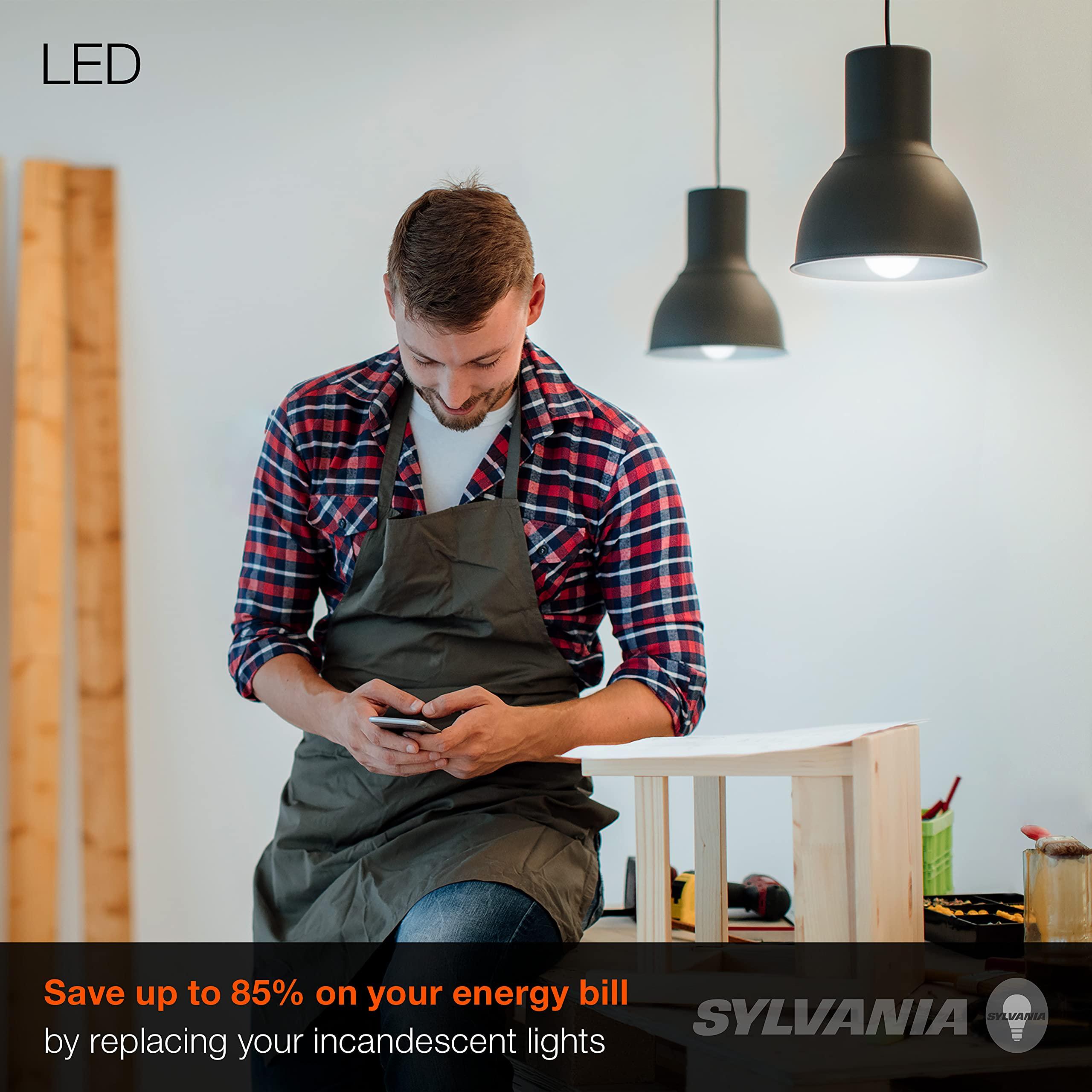 LEDVANCE SYLVANIA LED A19 Light Bulb, 60W Equivalent, Efficient 8.5, 10 Year, W, 5000K, 800 Lumens, Frosted, Daylight - 24 Count (Pack of 1)