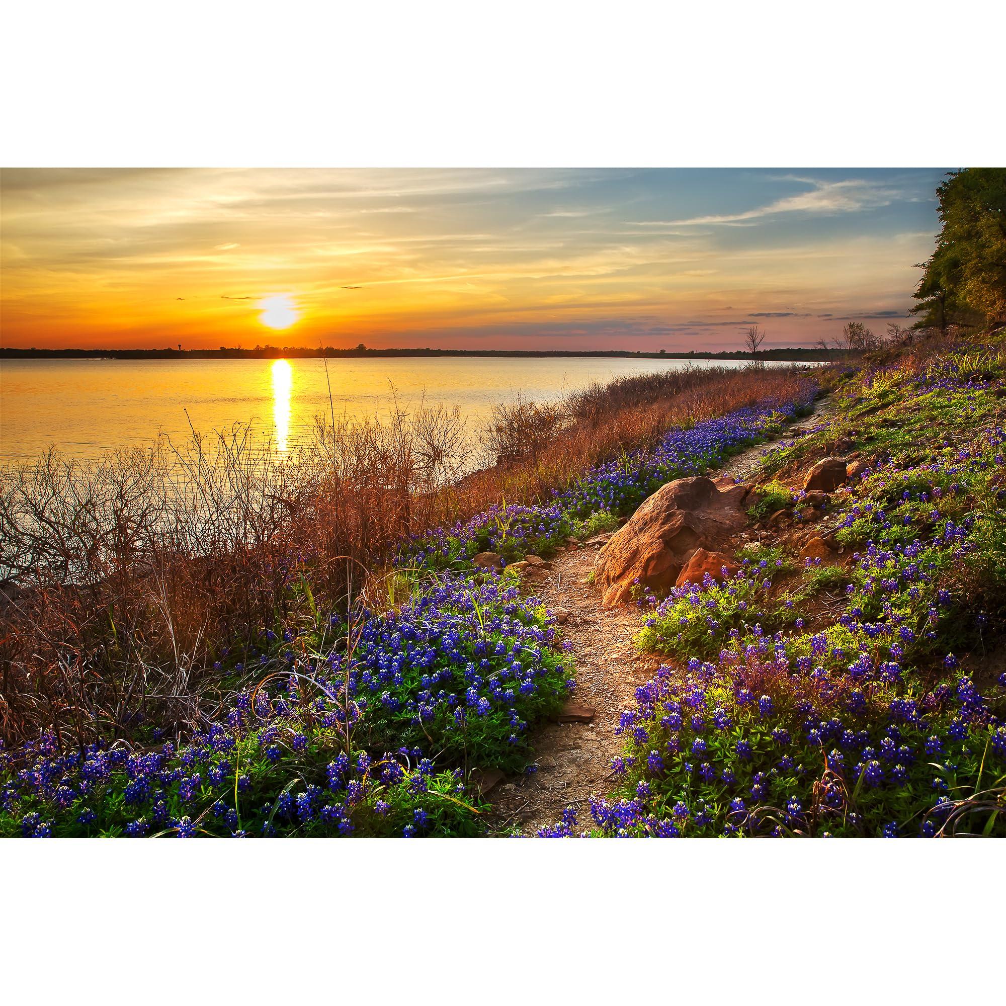 TravLin Photography Bluebonnet Photo Print, Bluebonnet Trail Along Grapevine Lake at Sunset, Flower Mound Texas Photography Wall Art, 8x10 to 24x36