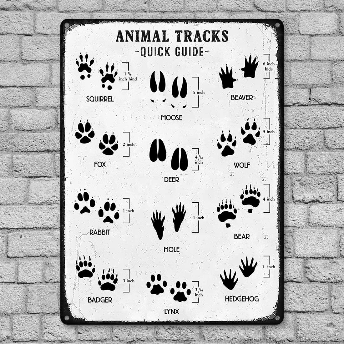 ZOE STORE Blue White Red Line American Independence Floral Large Laundry Basket, Waterproof Laundry Hamper for Clothes, Retro Wooden Poppies Blue Cornflowers Foldable Laundry Baskets, 16.5\'\'x17\'\'