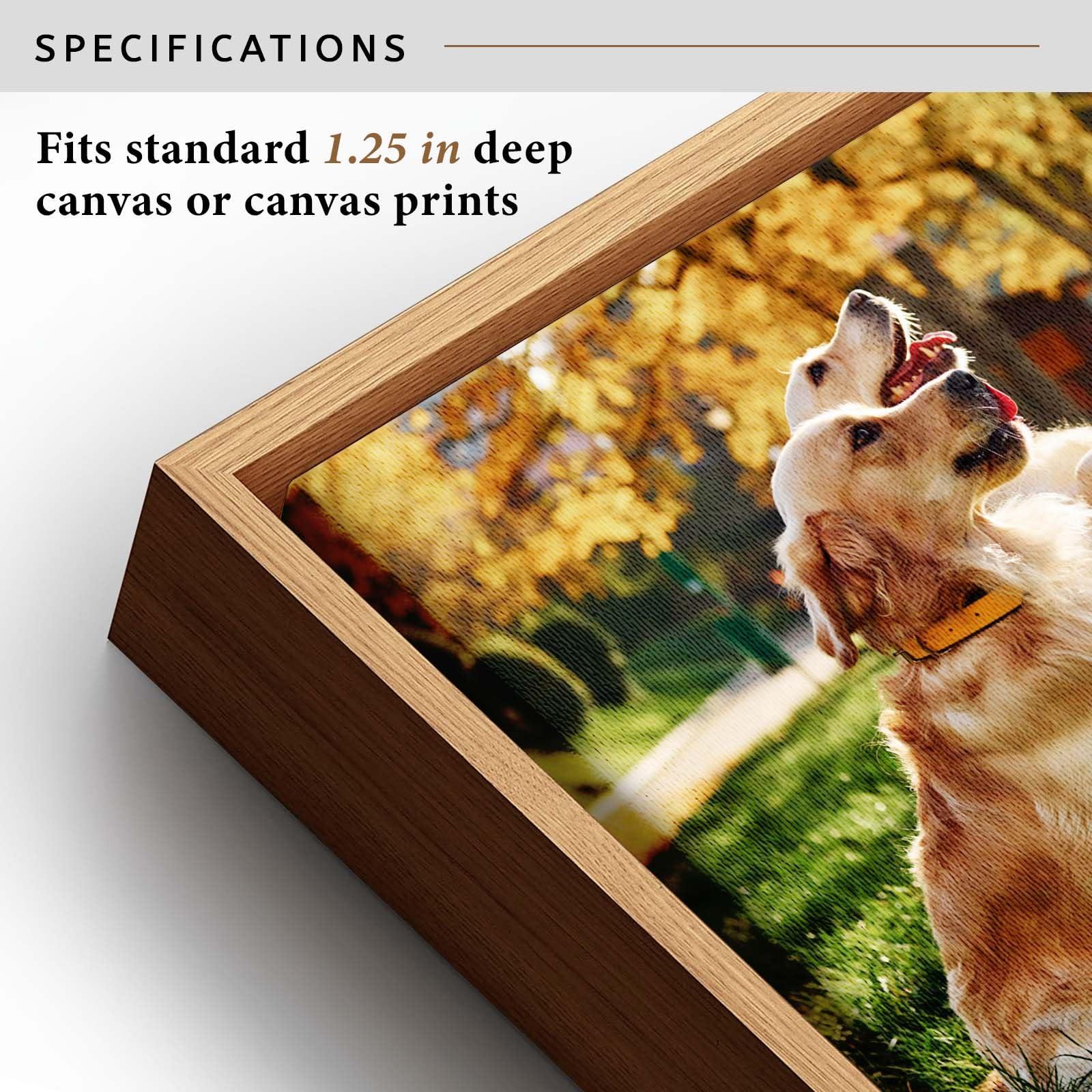 Texas Art Canvas Float Frames 12x30 Frame, Floating Frames for Canvas Prints Floater Frame for Finished Canvas, Vertical & Horizontal Wall Hanging Large Frame for Canvas Paintings, Floating Wall Art Decor