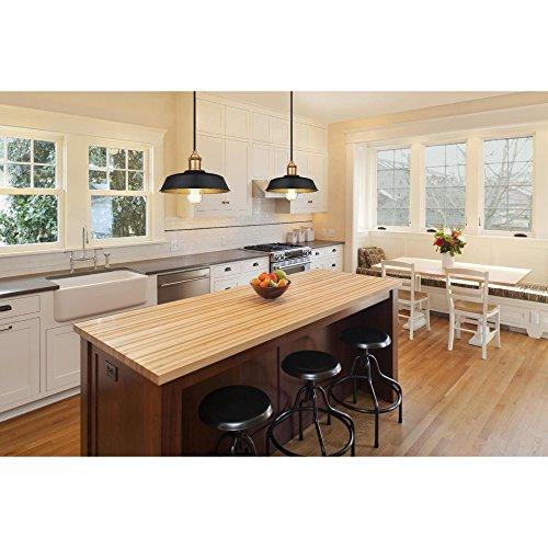 Westinghouse Lighting Westinghouse 6309000, Matte Black and Washed Copper Finish with Metallic Bronze Interior One-Light Indoor Pendant